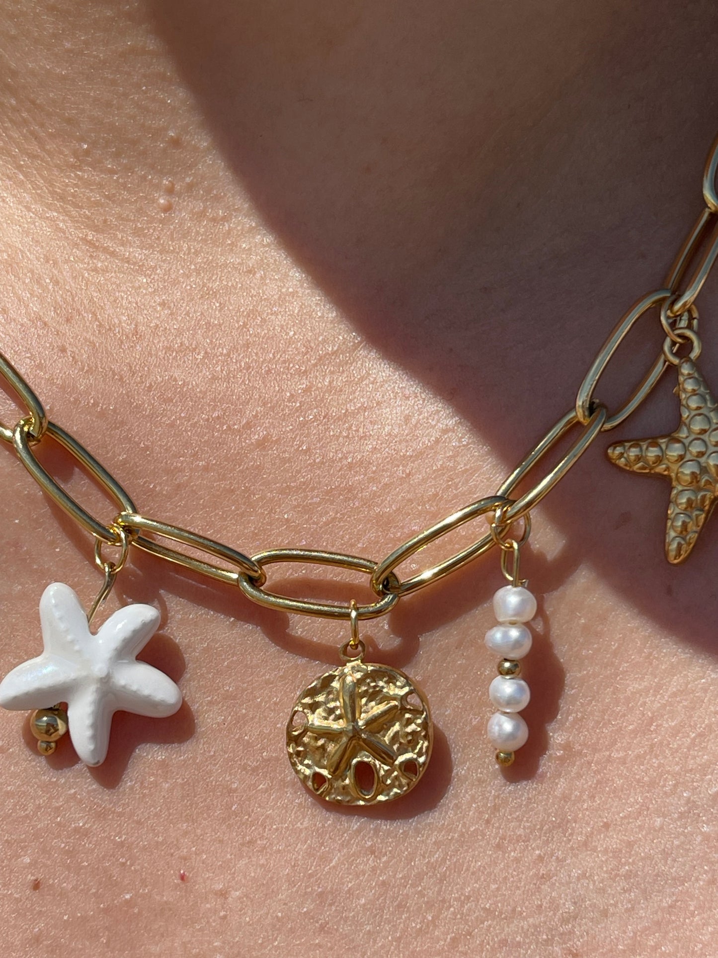 Charm N*102