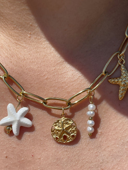 Charm N*102